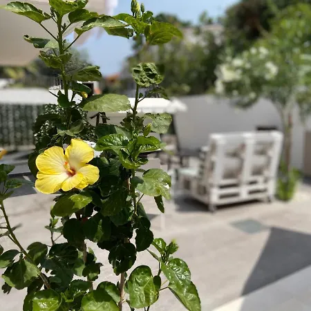 Isca Blue Casa In Vicino Al Mare, Sino A Max 8 Persone 3*