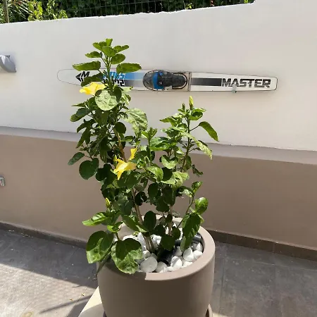 Isca Blue Casa In Vicino Al Mare, Sino A Max 8 Persone 3*